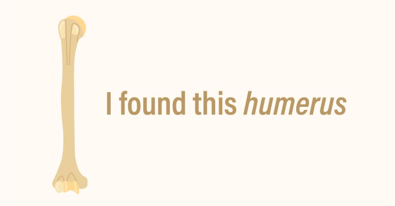 found this humerus joke design