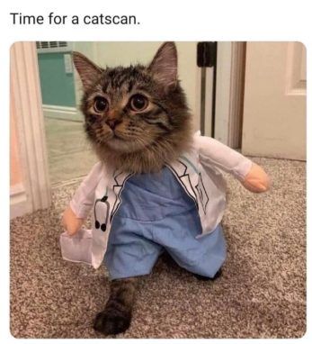 cat scan radiology funny