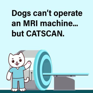 Cat scan x ray meme