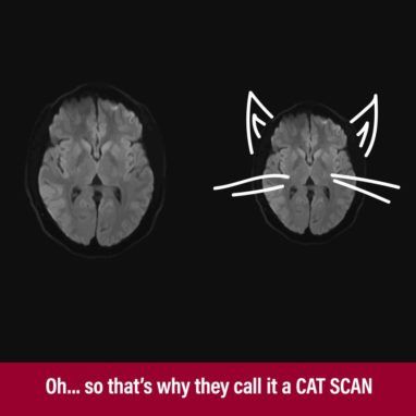 radiology funny picture cat scan