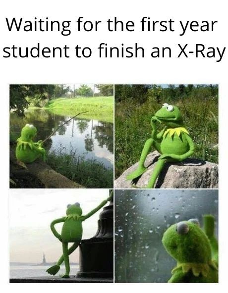 first year student x ray joke